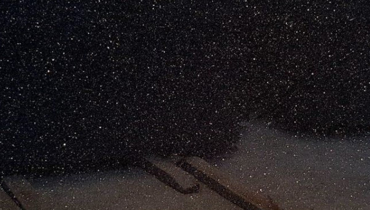 Real Black Galaxy stock